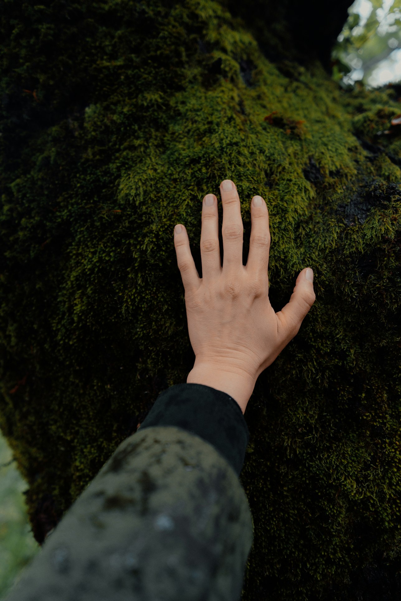 A hand resting on a moss-covered tree