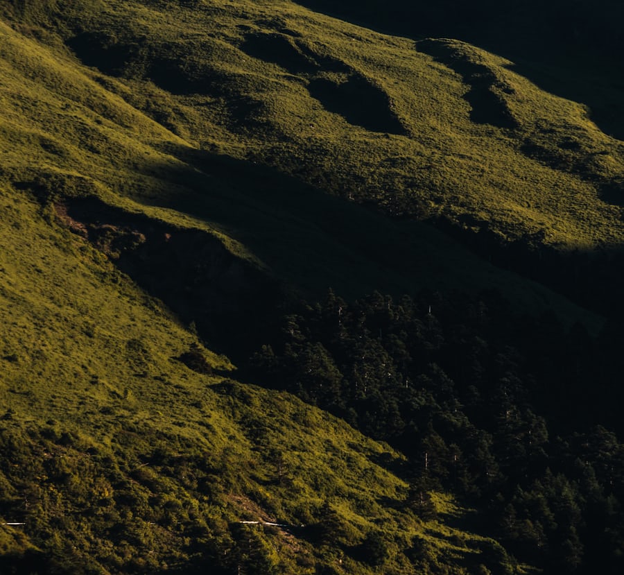 Sunlit green mountain slopes with shadowed forest